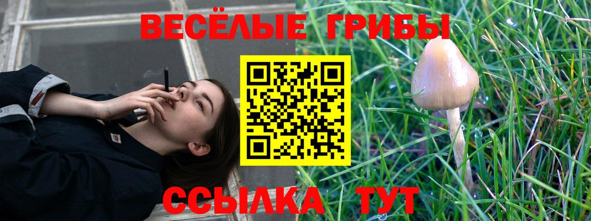 Галлюциногенные грибы ЛСД  Вход с VPN  Галлюциногенные грибы MAGIC MUSHROOMS  Туймазы 
